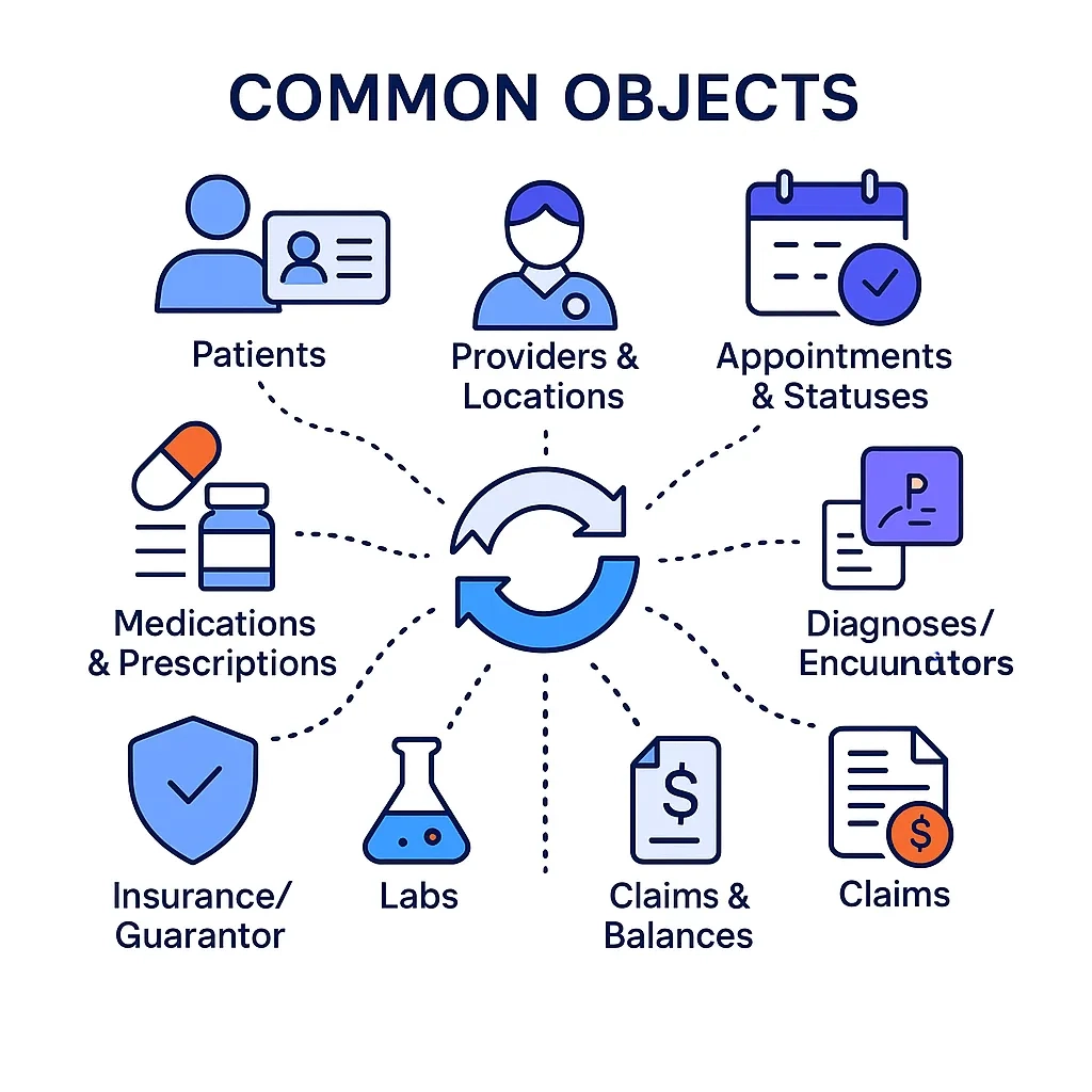 Grid of icons representing patients, providers, appointments, diagnoses, medications, labs, insurance and claims synced.