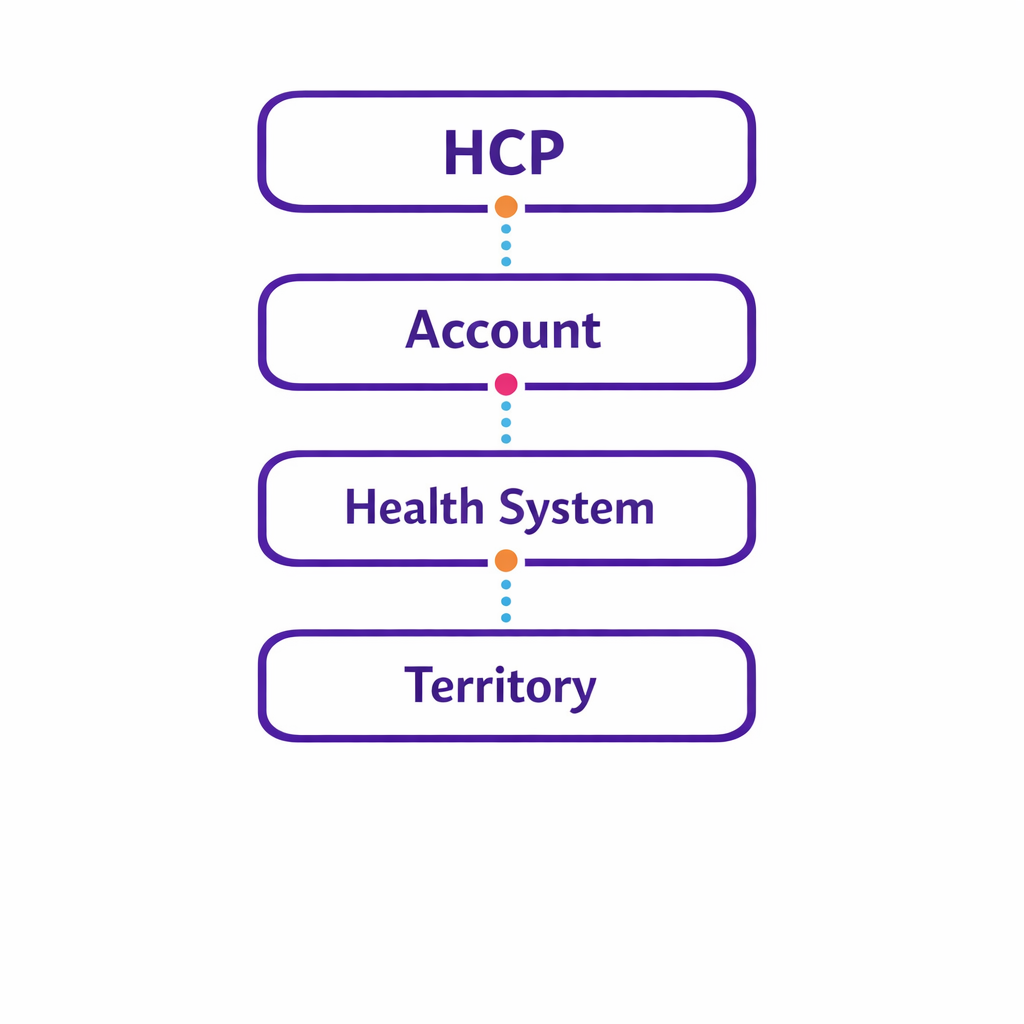 A hierarchy ladder shows rollups from HCP to account to health system to territory reporting.